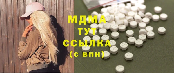 ECSTASY Бородино