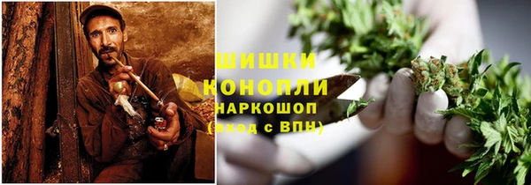 ECSTASY Бородино