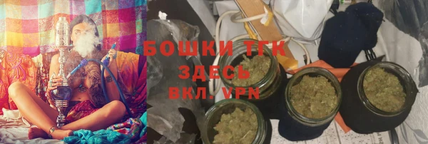 ECSTASY Бородино