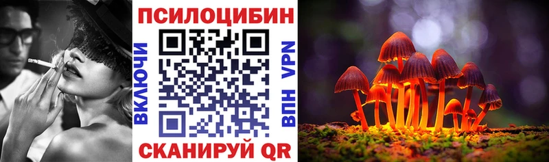 Галлюциногенные грибы Psilocybe  наркотики  Наволоки 